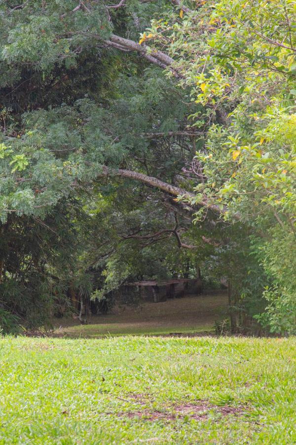 Organic Garden * San Jose (Alajuela)