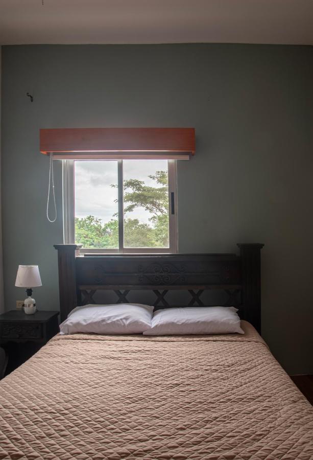 Organic Garden Apartment San Jose (Alajuela)