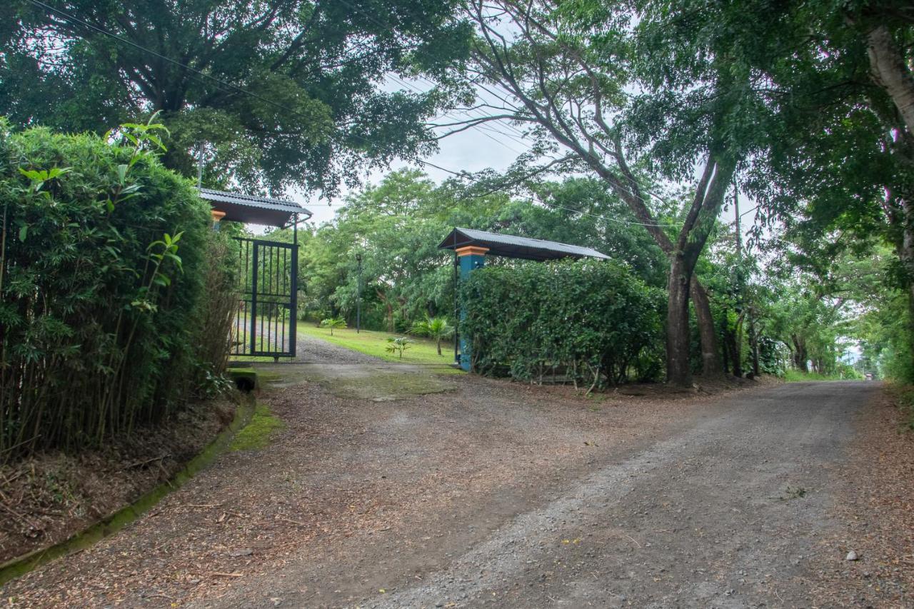 Organic Garden Apartment San Jose (Alajuela)